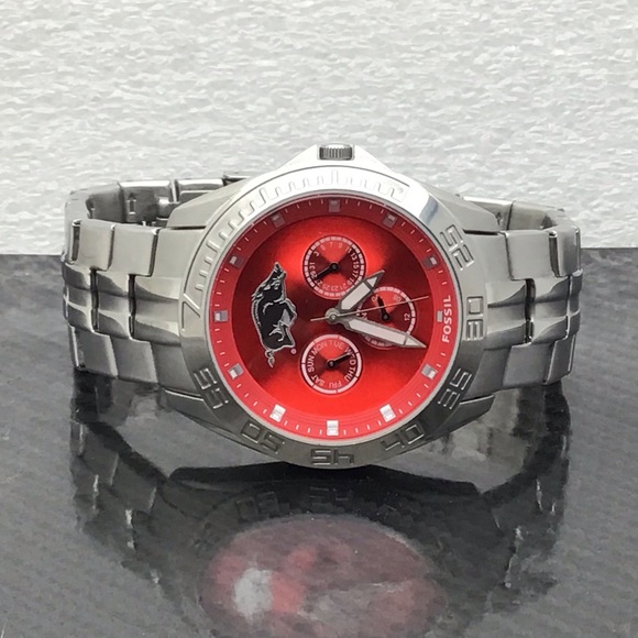 FOSSIL ~ Arkansas Razorbscks - Picture 8 of 9